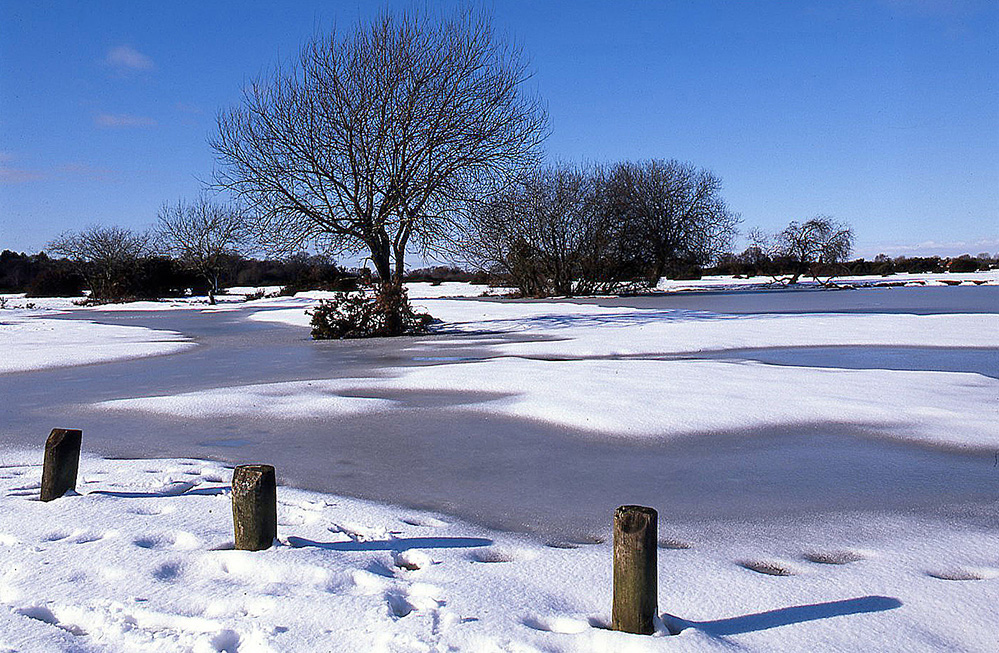 Winter Snowbound Janesmoor Pond